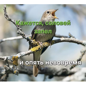 Стикерпук — стикер для MAX