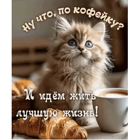 Мои стикеры 2 — стикер для MAX