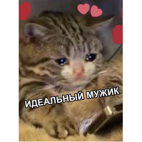 Стикерпук — стикер для MAX