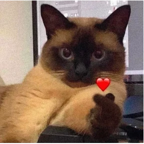пиу пяу — стикер для MAX
