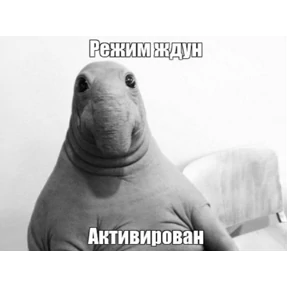 Стикерпук — стикер для MAX
