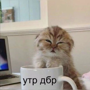 Мемс — стикер для MAX