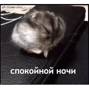 kristall — стикер для MAX