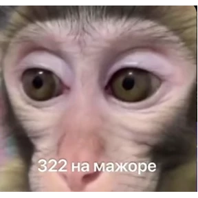 kristall — стикер для MAX