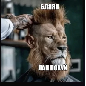 kristall — стикер для MAX