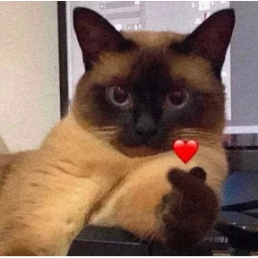 Мяу — стикер для MAX