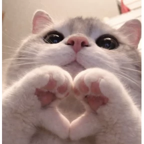 Мяу — стикер для MAX