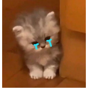 Мяу — стикер для MAX