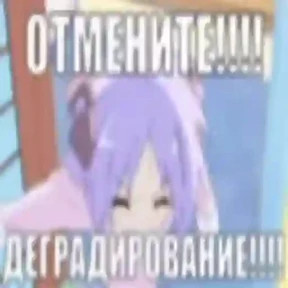 Мяуляция — стикер для MAX
