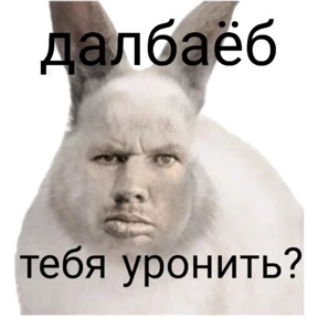 лев — стикер для MAX