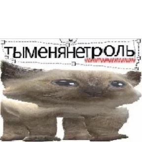 лев — стикер для MAX