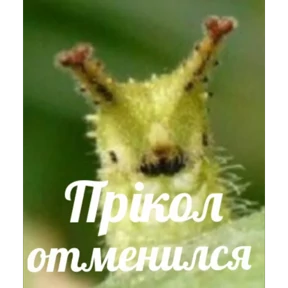 лев — стикер для MAX