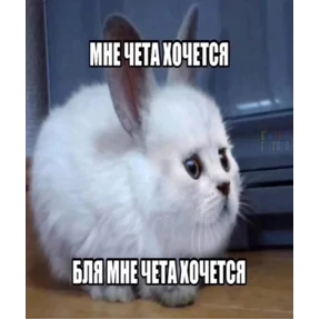 Кукич — стикер для MAX