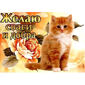 Кукич — стикер для MAX
