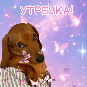 ам — стикер для MAX