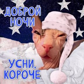 ам — стикер для MAX