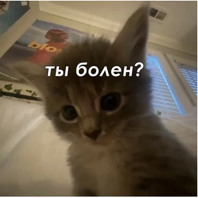 ыыыы2 — стикер для MAX