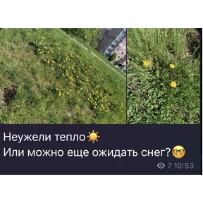 Леркапак — стикер для MAX