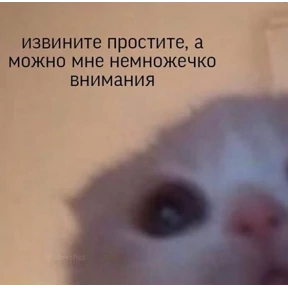 Мяу — стикер для MAX