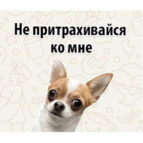 Назное — стикер для MAX