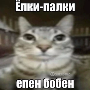 my2 — стикер для MAX