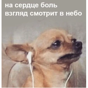 База 126 — стикер для MAX