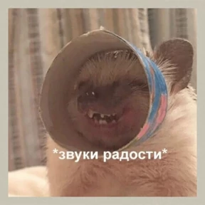 База 126 — стикер для MAX