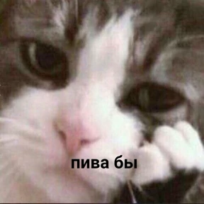База 126 — стикер для MAX
