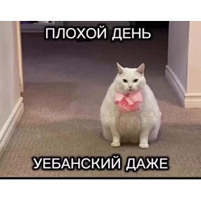 База 126 — стикер для MAX