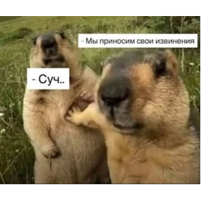 База 126 — стикер для MAX