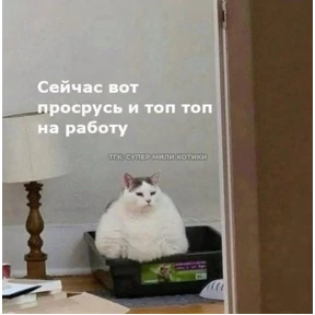 База 126 — стикер для MAX