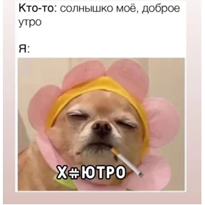 База 126 — стикер для MAX