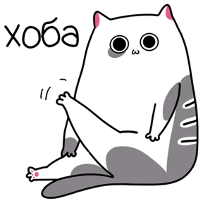Котэ — стикер для MAX