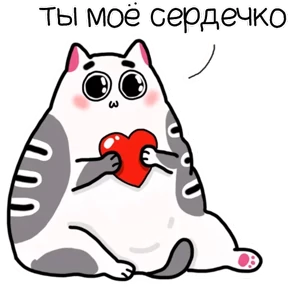 Котэ — стикер для MAX