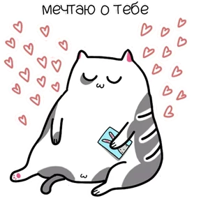 Котэ — стикер для MAX
