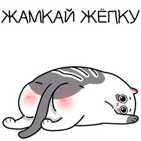 Котэ — стикер для MAX