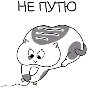 Котэ — стикер для MAX