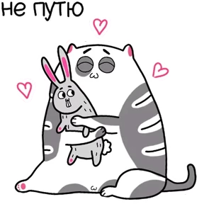 Котэ — стикер для MAX