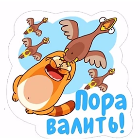 Кэт 3 — стикер для MAX
