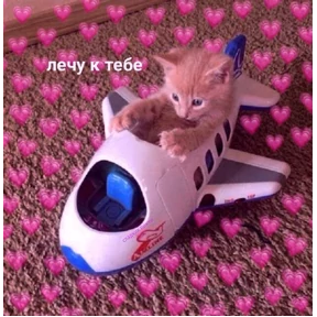 Мяу — стикер для MAX