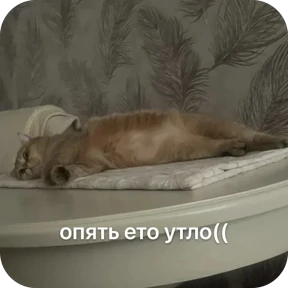 Булосьная полисия — стикер для MAX