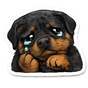 Лея \u003C3 — стикер для MAX