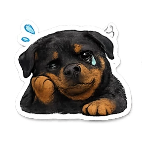 Лея \u003C3 — стикер для MAX