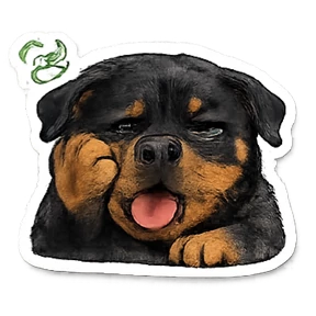 Лея \u003C3 — стикер для MAX