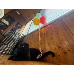 Tai — стикер для MAX