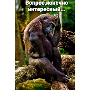 И чо и чо? — стикер для MAX