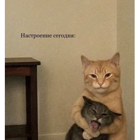 И чо и чо? — стикер для MAX