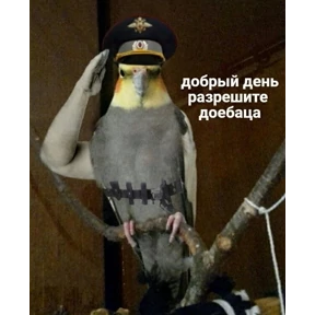 И чо и чо? — стикер для MAX