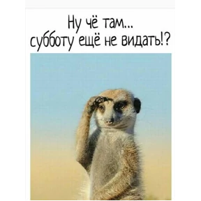 И чо и чо? — стикер для MAX