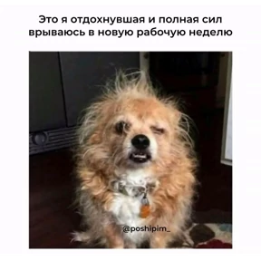 Стикерпак Работа для мессенджера MAX
